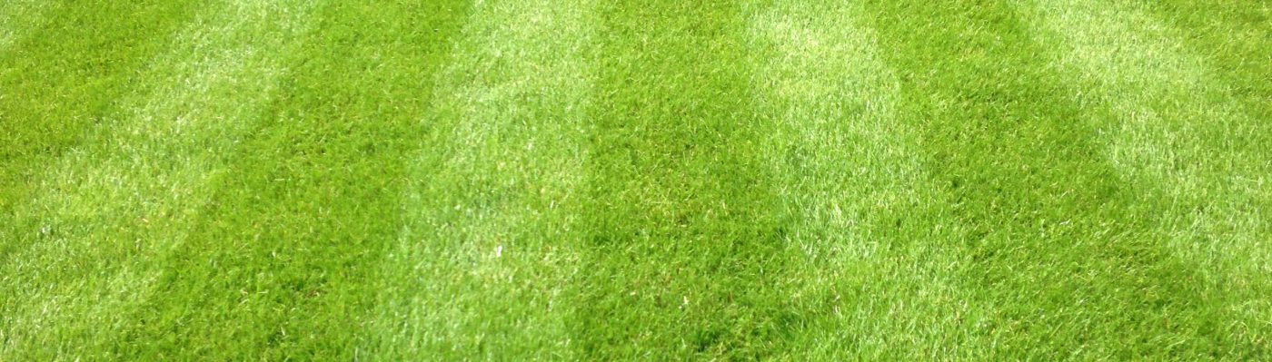 SJB COMMERCIAL GRASS CUTTING